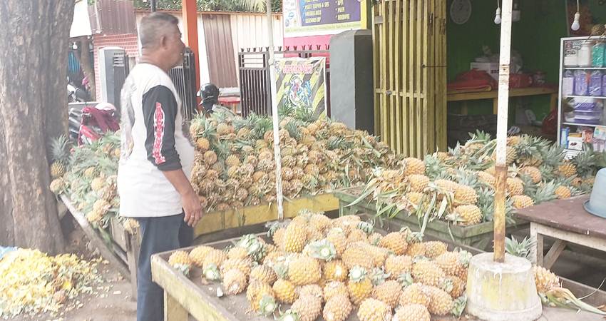 Pedagang buah nanas di Jalan Pangeran Hidayat, Kota Gorontalo.