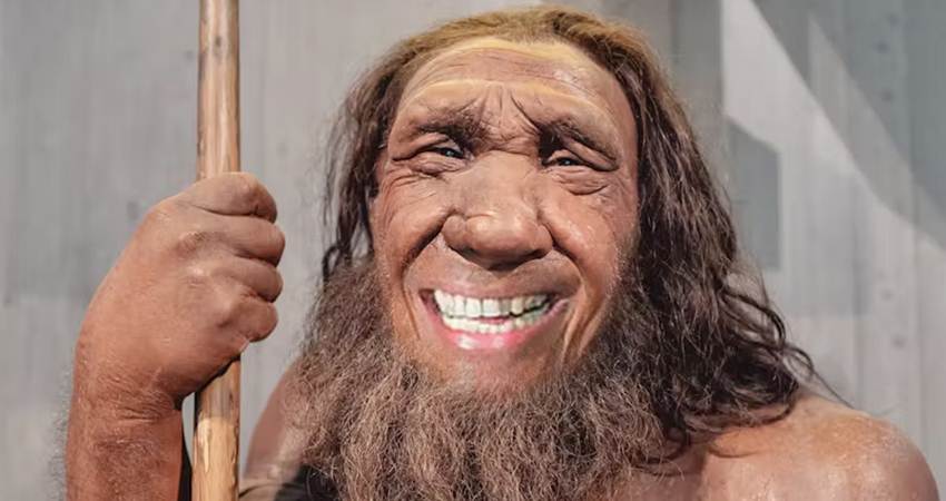 Ilustrasi Neanderthals --